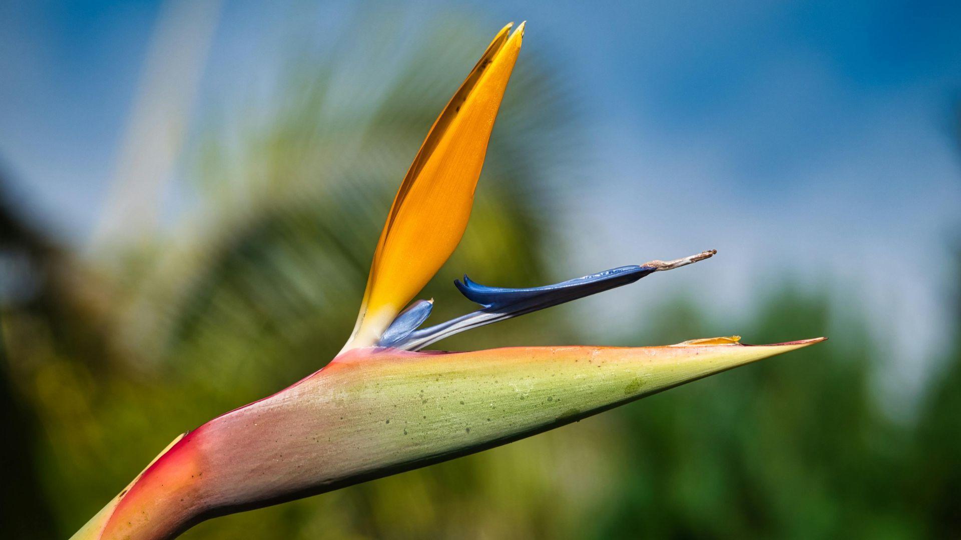 laptopmockup_sliderdy